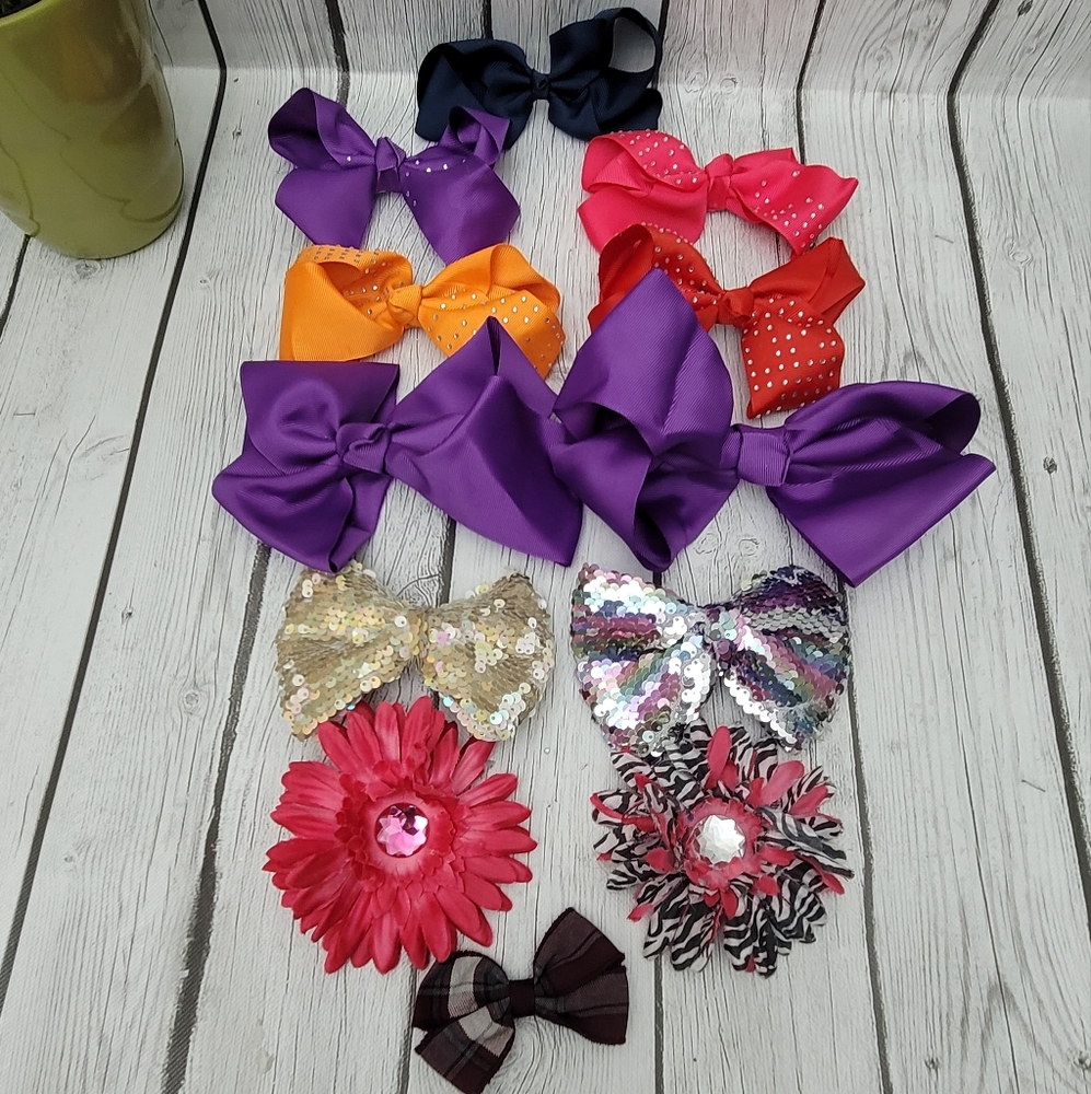 Bundle of 12 Girl's Hair Bows and Clasp Barretts